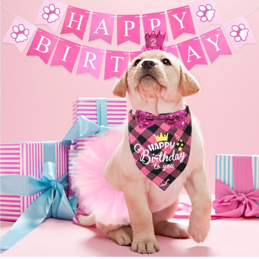 New BIEOFFEI Dog Birthday Party Supplies - Dog Birthday Party (6 Pieces Set) - Picture 2 of 8